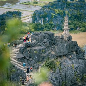 Tour VIP Hoa Lư Tam Cốc Hang Múa 1 Ngày