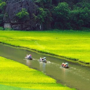 du lich the sinh the sinh tourist tour du lich ninh binh trang an 2 024 20250829