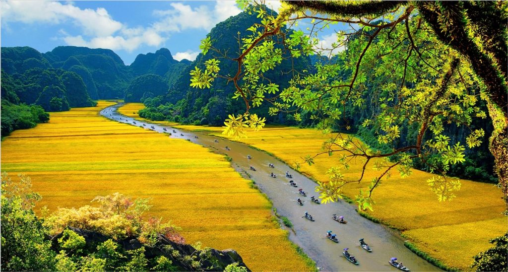 Ảnh sưu tầm - Đi Ninh Bình 3 ngày 2 đêm