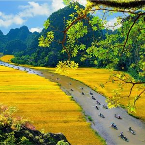 du lich the sinh the sinh tourist tour du lich ninh binh trang an 1007 20250925