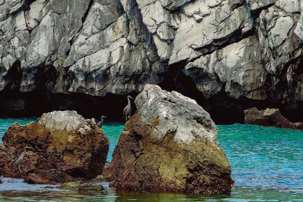 Du lịch đảo Cát Bà cùng Thế Sinh Tourist