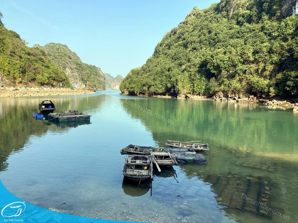 tour du lich cat ba du lich dao cat ba lang chai the sinh tourist sinh cafe travel 003 20240919