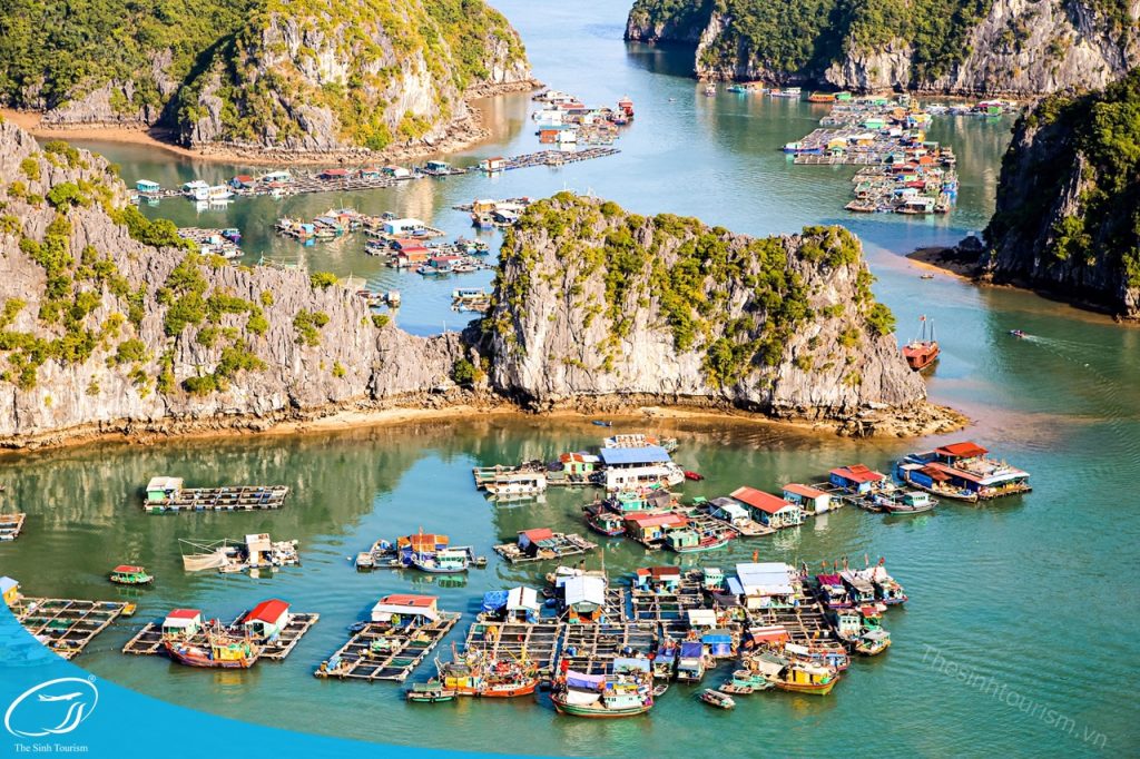 Đi du lịch Cát Bà - Đặt combo Cát Bà 2 ngày 1 đêm tại Thế Sinh Tourist