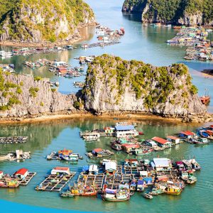 tour du lich cat ba du lich dao cat ba lang chai the sinh tourist sinh cafe travel 010 20240919