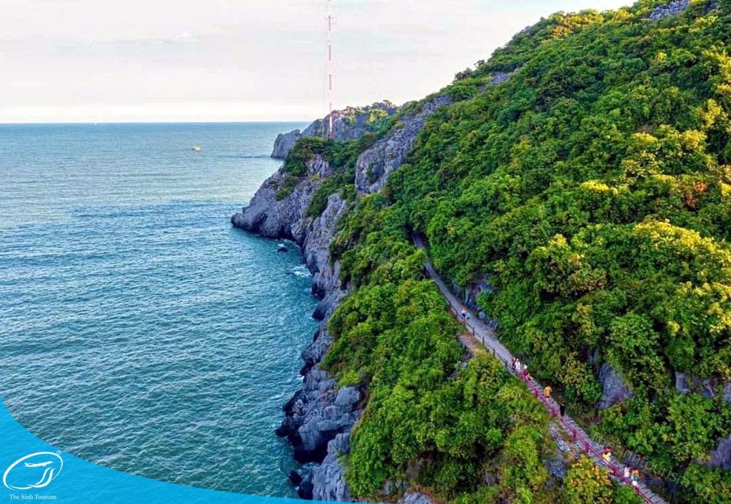 Đi tour Cát Bà 3 ngày 2 đêm tại Thế Sinh Tourist