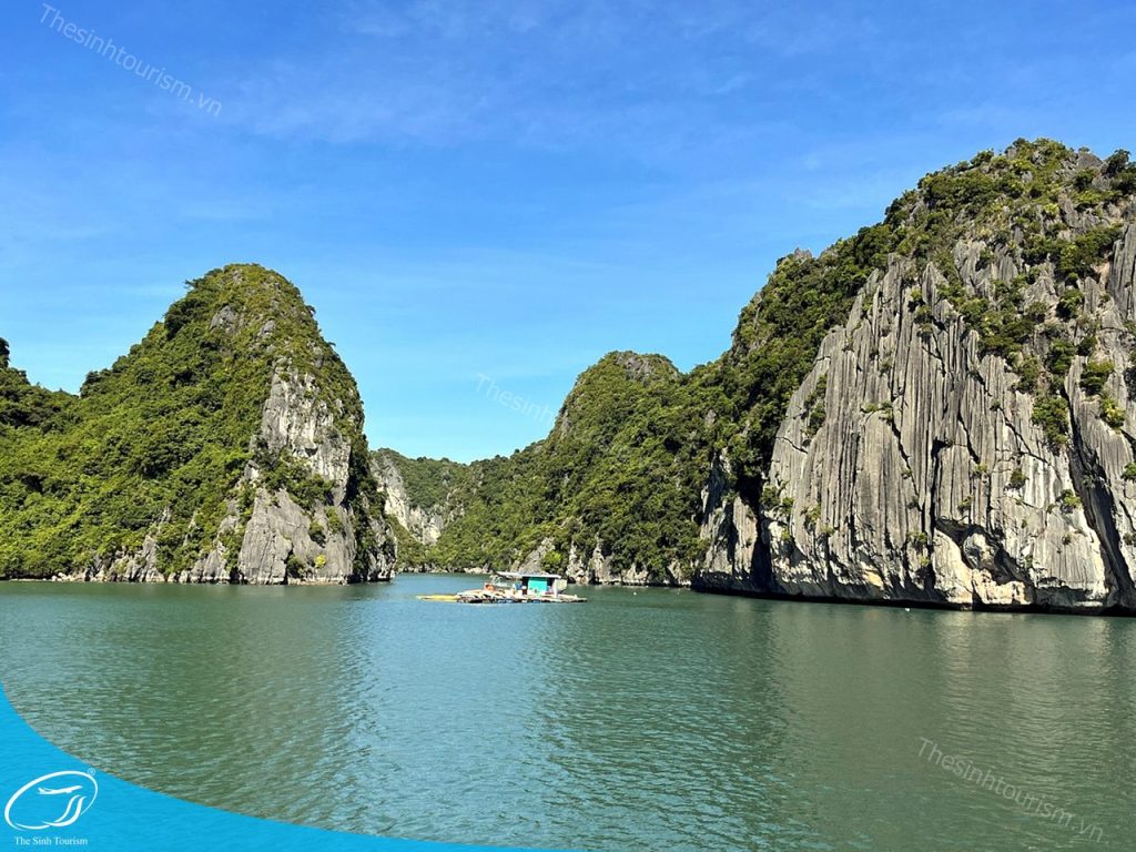 Đặt tour Cát Bà trong ngày tại thesinh.vn