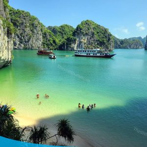 tour du lich cat ba du lich dao cat ba vinh lan ha the sinh tourist sinh cafe travel 018 20240919