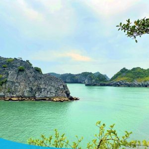 tour du lich cat ba du lich dao cat ba vinh lan ha the sinh tourist sinh cafe travel 345644442 1264988934453726 2175271302227691107 n 20240919 103702