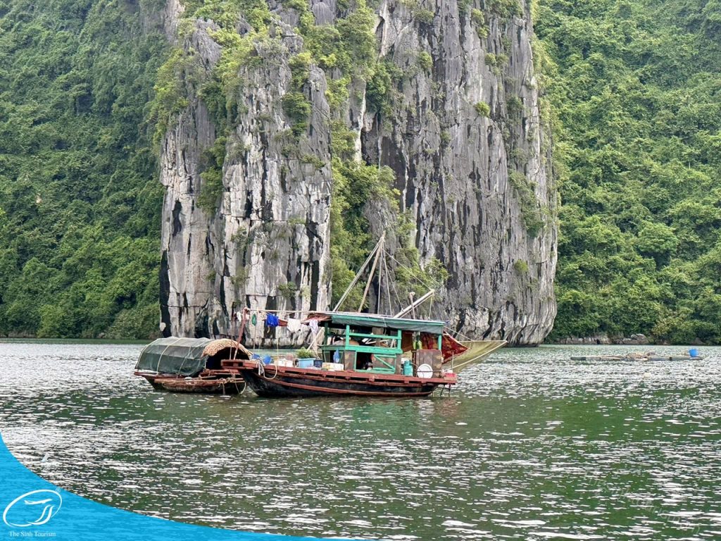 tour du lich cat ba du lich dao cat ba vinh lan ha the sinh tourist sinh cafe travel 454038005 2654624971404294 2922722260584059953 n 20240919 103703