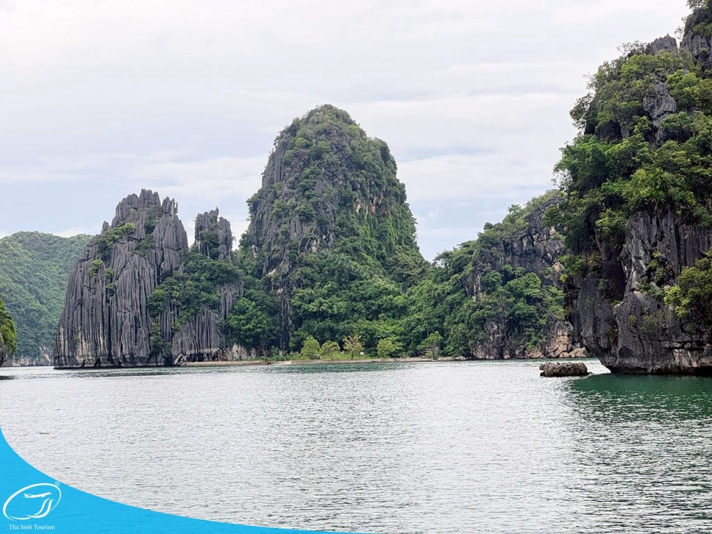 tour du lich cat ba du lich dao cat ba vinh lan ha the sinh tourist sinh cafe travel 454316963 2654625074737617 692097158929127182 n 20240919 103703