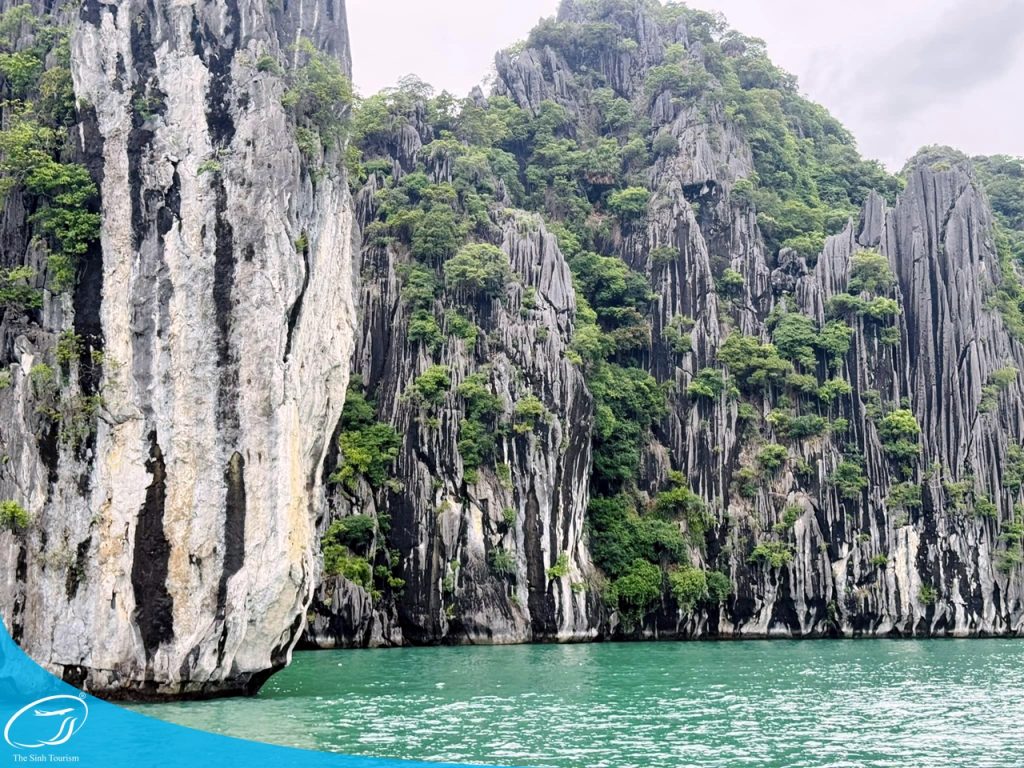 tour du lich cat ba du lich dao cat ba vinh lan ha the sinh tourist sinh cafe travel 454345201 2654625114737613 4088653054066715760 n 20240919 103703