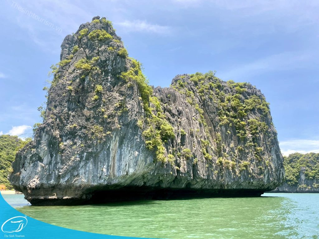 tour du lich cat ba du lich dao cat ba vinh lan ha the sinh tourist sinh cafe travel 454564061 2234635263561879 2118247285040366737 n 20240919 103704