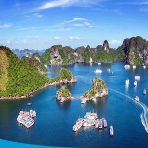 tour du lich cat ba du lich dao cat ba vinh lan ha the sinh tourist sinh cafe travel 454606723 829862902621592 8543422986791515663 n 20240919 103704