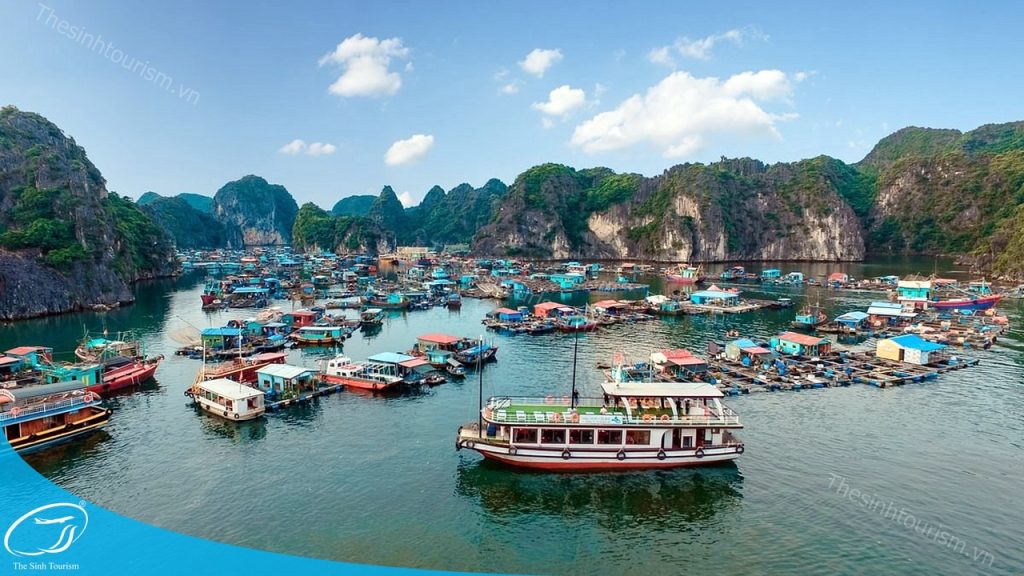 Đặt tour Cát Bà Vịnh Lan Hạ 2 ngày 1 đêm tại thesinh.vn