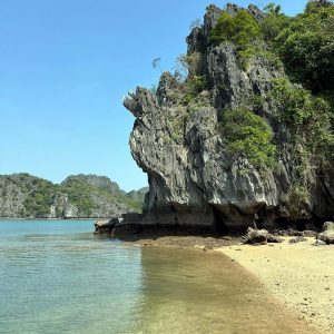 tour du lich cat ba du lich dao cat ba vinh lan ha the sinh tourist sinh cafe travel caption 20240919 103700