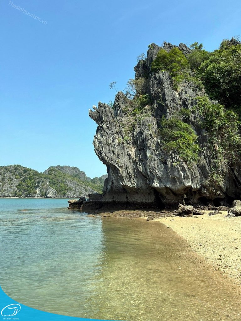 tour du lich cat ba du lich dao cat ba vinh lan ha the sinh tourist sinh cafe travel caption 20240919 103700