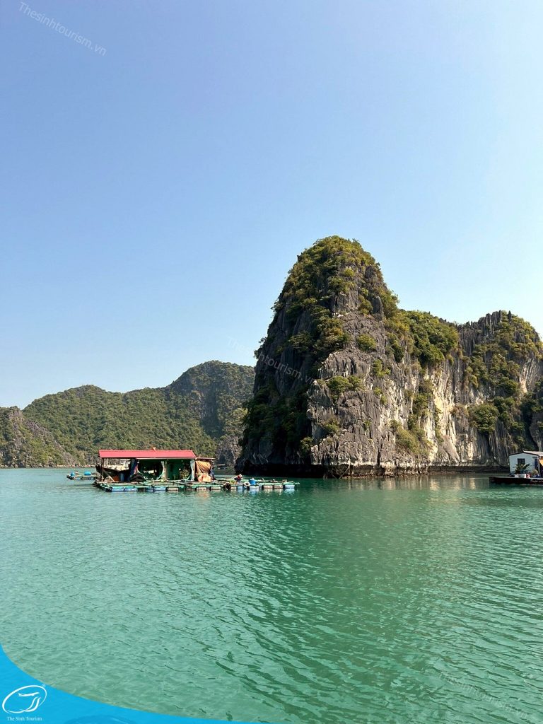 tour du lich cat ba du lich dao cat ba vinh lan ha the sinh tourist sinh cafe travel caption 3 20240919 103700