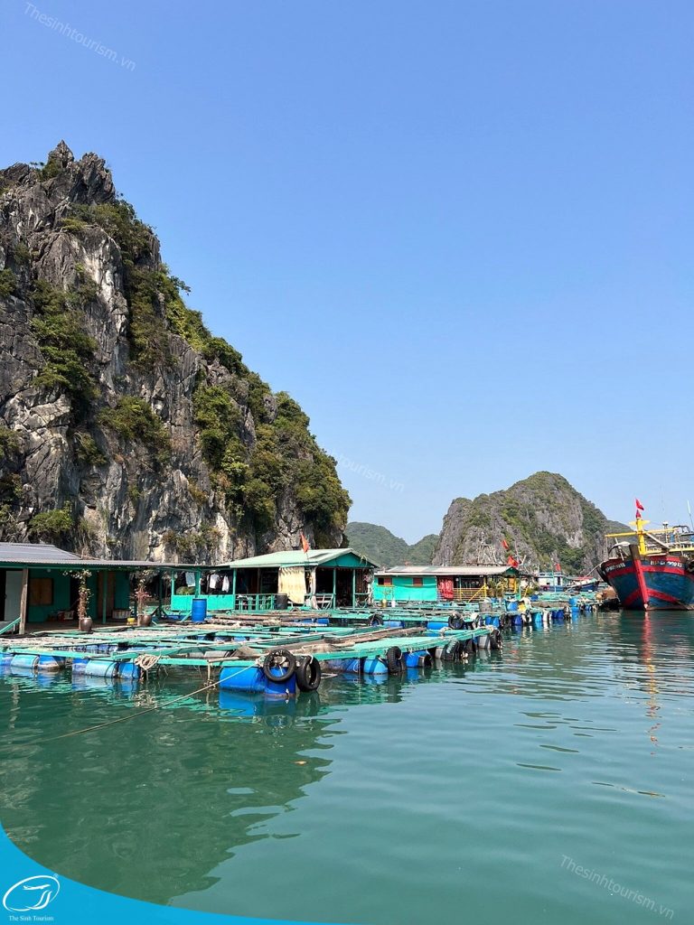 tour du lich cat ba du lich dao cat ba vinh lan ha the sinh tourist sinh cafe travel caption 4 20240919 103700