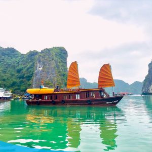 tour du lich cat ba du lich dao cat ba vinh lan ha the sinh tourist sinh cafe travel lan ha bay 5 20240919 103701