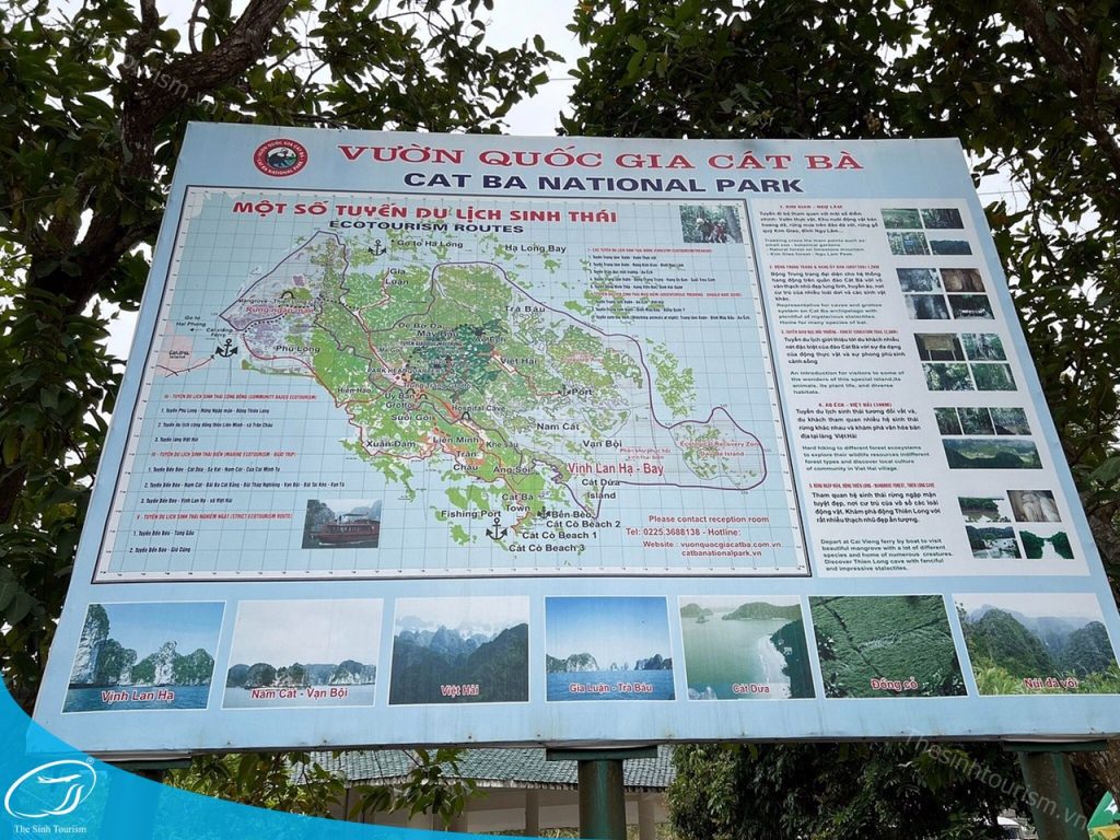 Tham quan vườn quốc gia Cát Bà