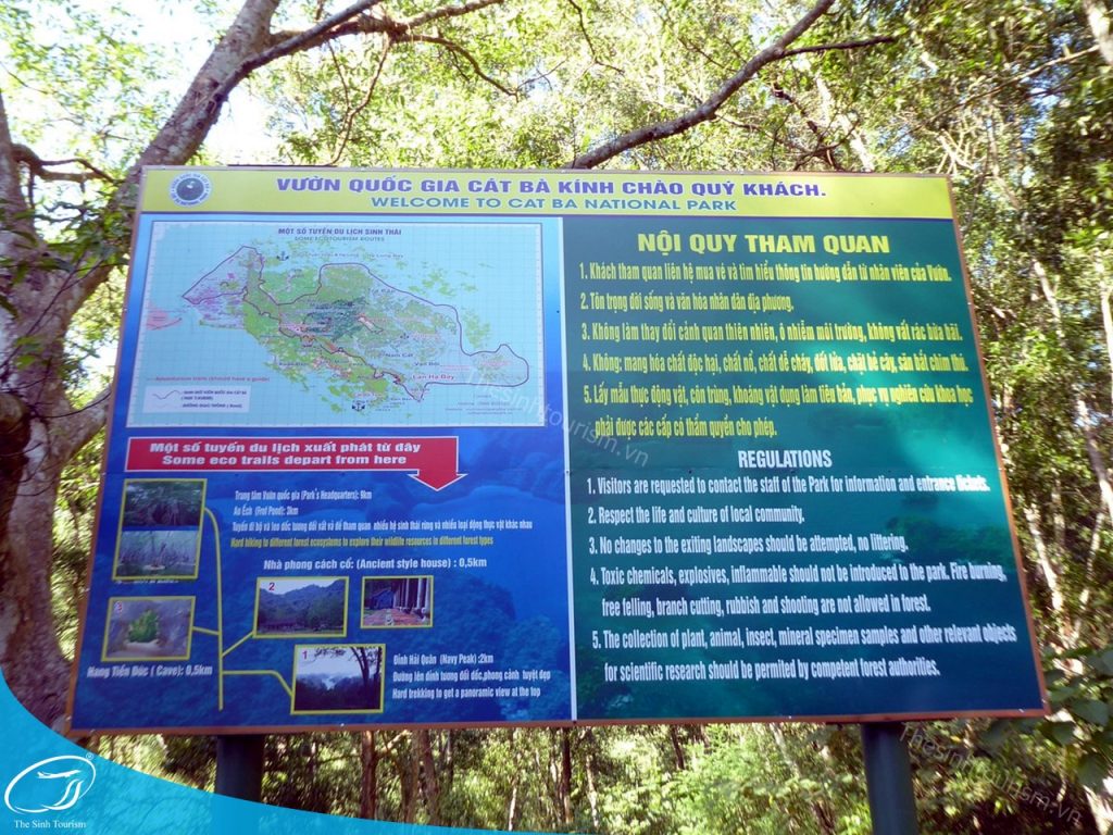 tour du lich cat ba du lich dao cat ba vuon quoc gia cat ba the sinh tourist sinh cafe travel 015 20240919