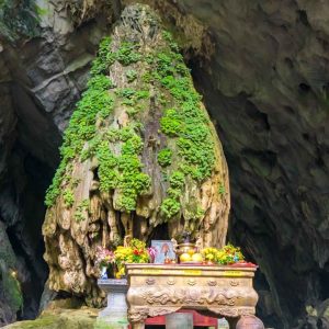 tour du lich chua huong the sinh tourist sinh cafe travel the sinh tourist 002 20251115
