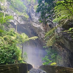 tour du lich chua huong the sinh tourist sinh cafe travel the sinh tourist 007 20251115