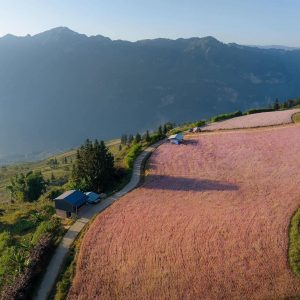 tour du lich ha giang the sinh tourist thesinhvn sinh cafe travel 007 20251101