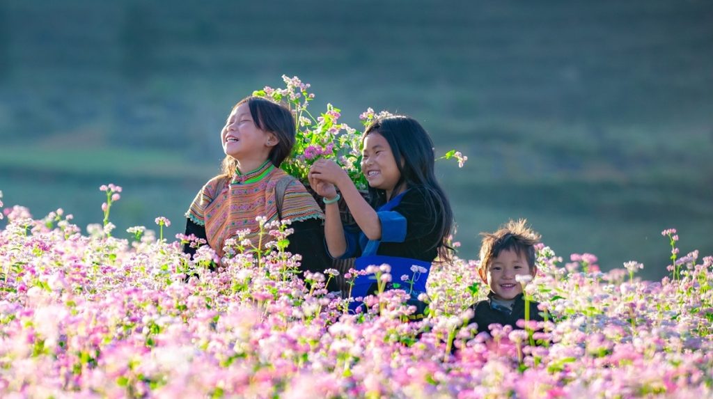 Ảnh sưu tầm - Đặt tour Hà Giang 4 ngày 3 đêm tại Thế Sinh Tourist
