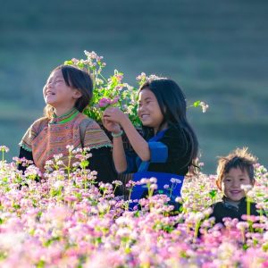 Ảnh sưu tầm - Đặt tour Hà Giang 4 ngày 3 đêm tại Thế Sinh Tourist