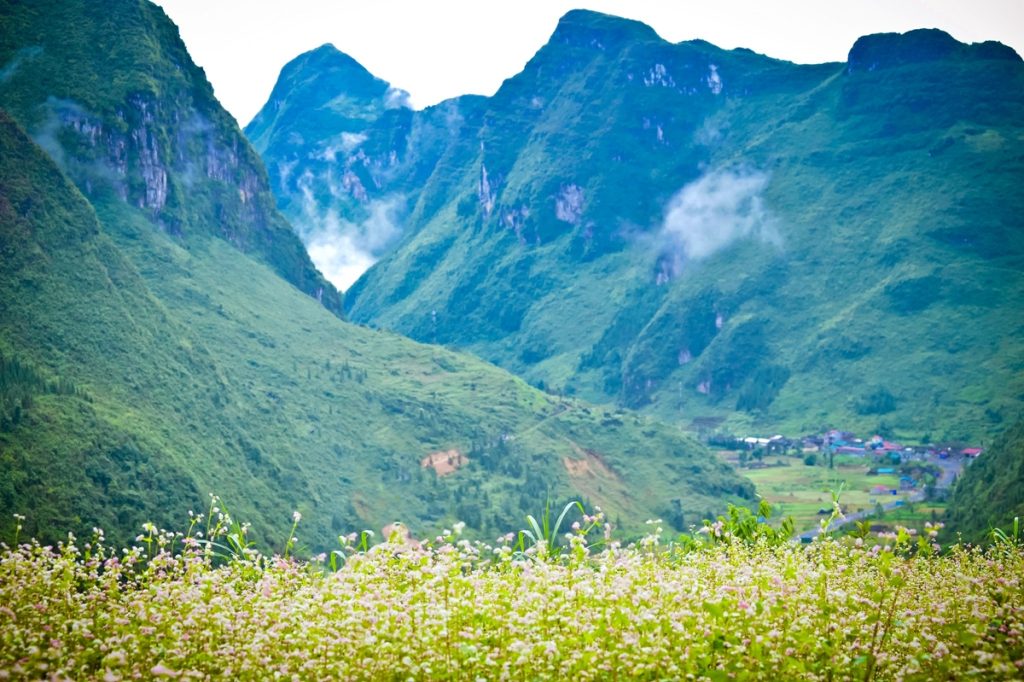 tour du lich ha giang the sinh tourist thesinhvn sinh cafe travel 012 20251101