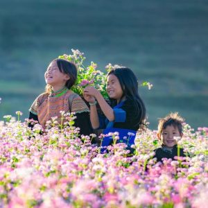 tour du lich ha giang the sinh tourist thesinhvn sinh cafe travel 014 20251101