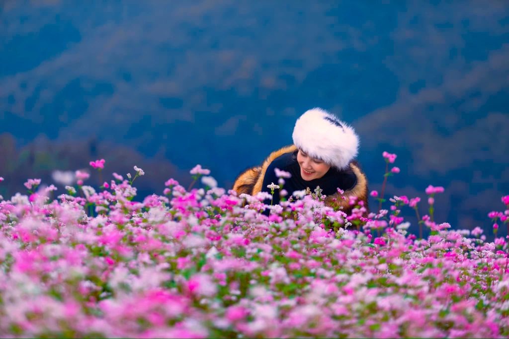 tour du lich ha giang the sinh tourist thesinhvn sinh cafe travel 015 20251101