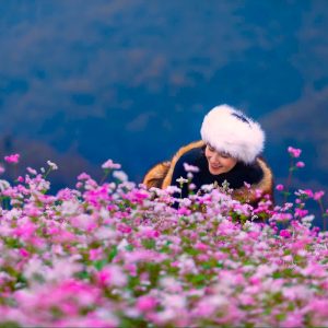 tour du lich ha giang the sinh tourist thesinhvn sinh cafe travel 015 20251101