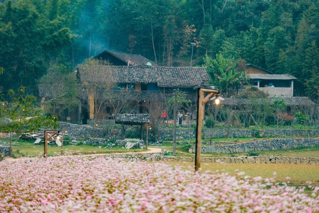 Ảnh sưu tầm - Đặt tour Hà Giang Sapa tại Thế Sinh Tourist