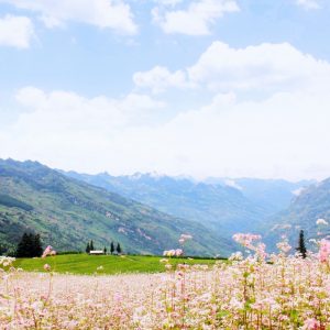tour du lich ha giang the sinh tourist thesinhvn sinh cafe travel 025 20251101