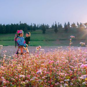 tour du lich ha giang the sinh tourist thesinhvn sinh cafe travel 030 20251101