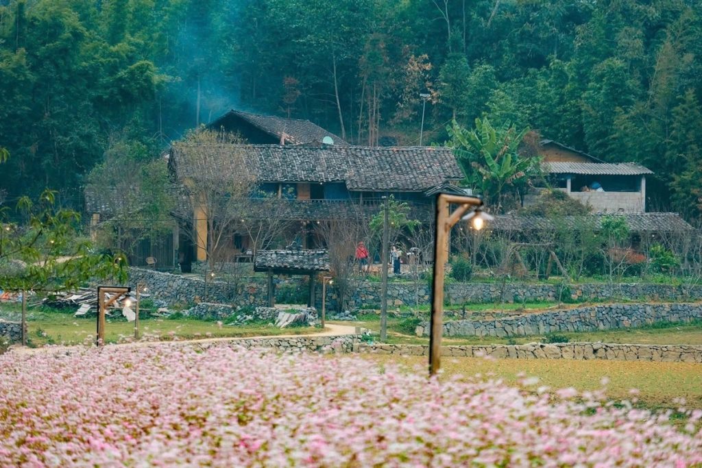 Ảnh sưu tầm - Tour Hà Nội Hà Giang 3 ngày 2 đêm