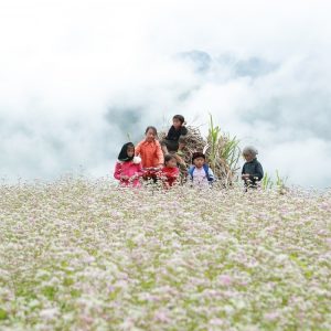tour du lich ha giang the sinh tourist thesinhvn sinh cafe travel 033 20251101