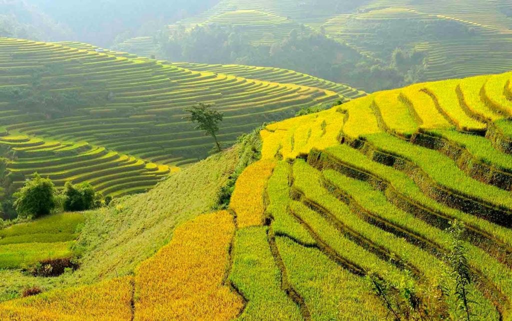 Ảnh sưu tầm - Đi du lịch Hà Giang cùng Thế Sinh Tourist