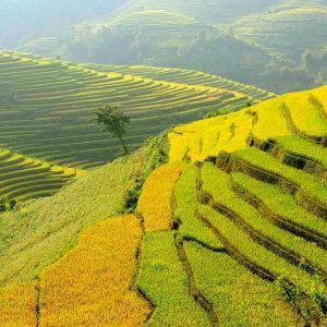 tour du lich ha giang the sinh tourist thesinhvn sinh cafe travel 1 001 20251101