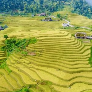 tour du lich ha giang the sinh tourist thesinhvn sinh cafe travel 1 002 20251101