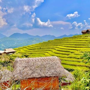 tour du lich ha giang the sinh tourist thesinhvn sinh cafe travel 1 003 20251101