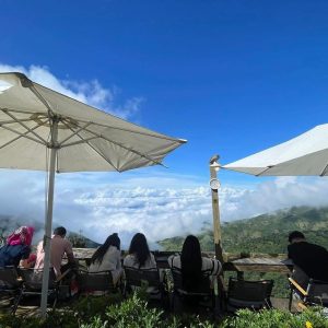 tour du lich moc chau ta xua the sinh tourist sinh cafe travel the sinh tourism 001 20251108