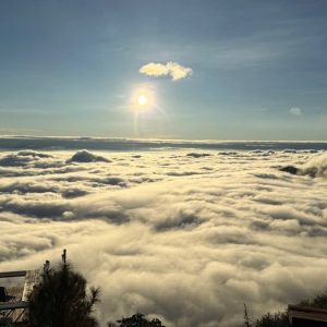 tour du lich moc chau ta xua the sinh tourist sinh cafe travel the sinh tourism 005 20251108
