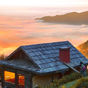 tour du lich moc chau ta xua the sinh tourist sinh cafe travel the sinh tourism 009 20251108
