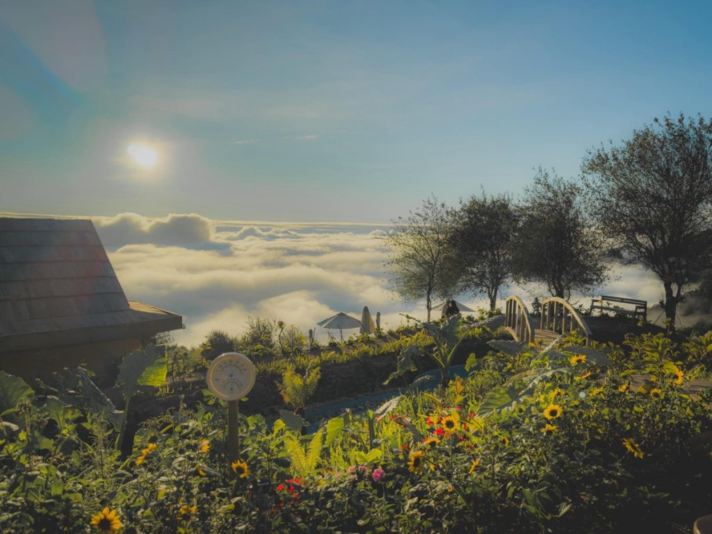 tour du lich moc chau ta xua the sinh tourist sinh cafe travel the sinh tourism 015 20251108