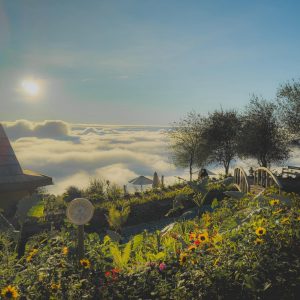 tour du lich moc chau ta xua the sinh tourist sinh cafe travel the sinh tourism 015 20251108
