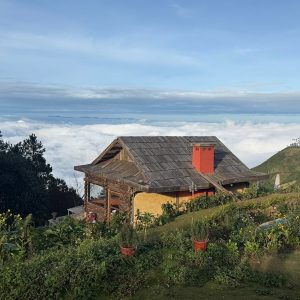 tour du lich moc chau ta xua the sinh tourist sinh cafe travel the sinh tourism 016 20251108