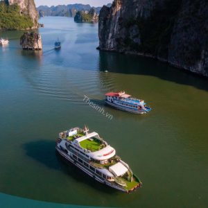 Tour Hạ Long 1 Ngày - Du Thuyền 5 Sao Thăm Vịnh 7.5 Tiếng (VIP) 1 du lich the sinh the sinh tourist du lich ha long tour ha long 022 20250725
